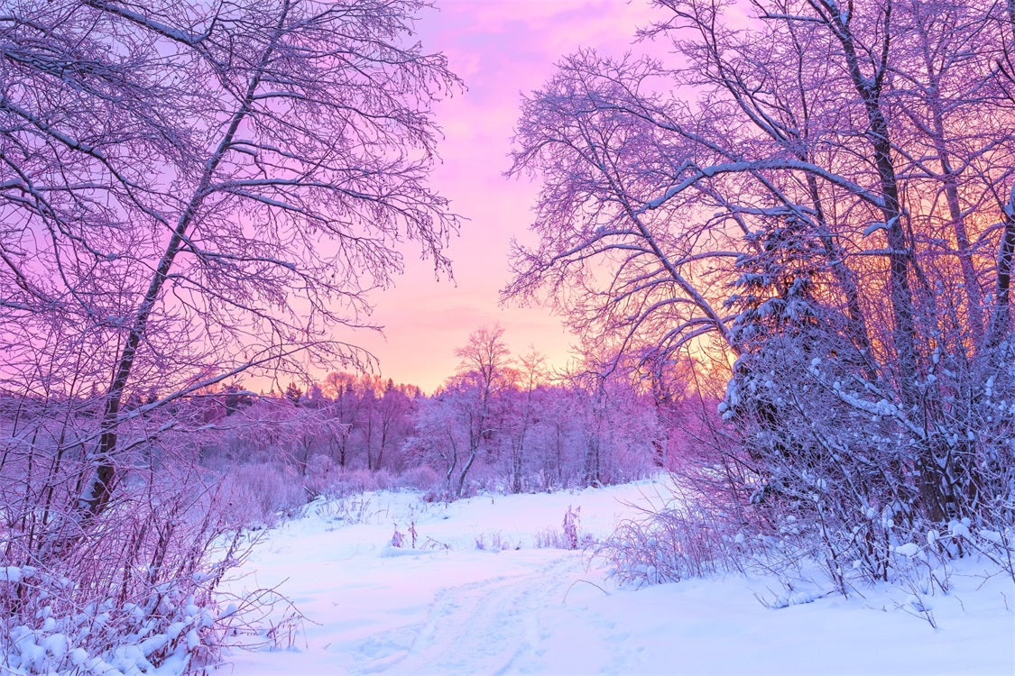 Toile de fond Lever de soleil pastel Forêt enneigée Hiver BRP9-283