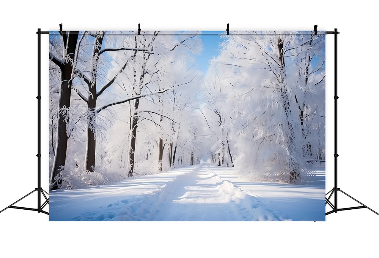 Toile de fond Journée givrée Forêt hivernale Chemin BRP9-322