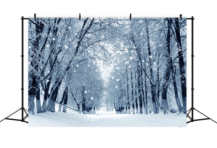 Toile de fond Chemin enchanté Forêt hivernale enneigée BRP9-324