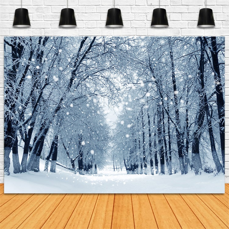 Toile de fond Chemin enchanté Forêt hivernale enneigée BRP9-324
