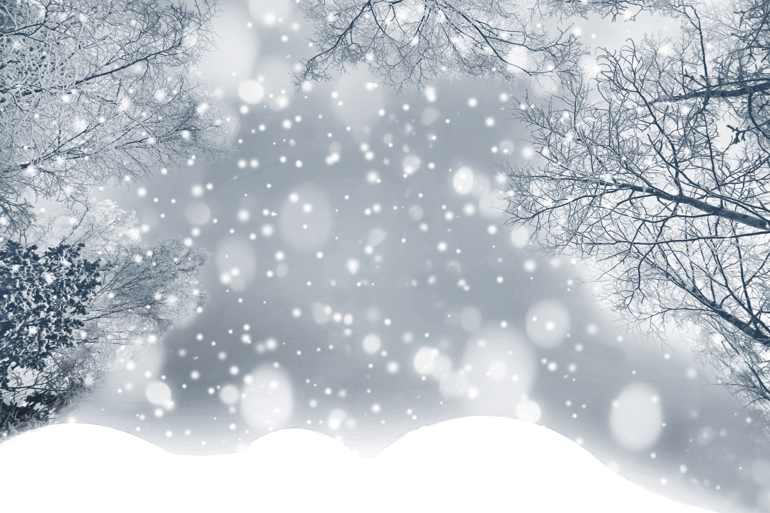 Toile de fond Forêt scintillante Flocons de neige givrés Hiver BRP9-344