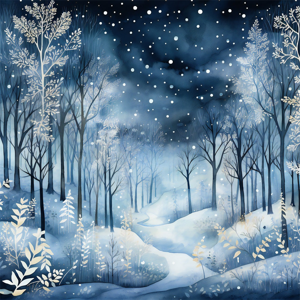 Toile de fond Nuit magique Merveille hivernale Neige BRP9-348