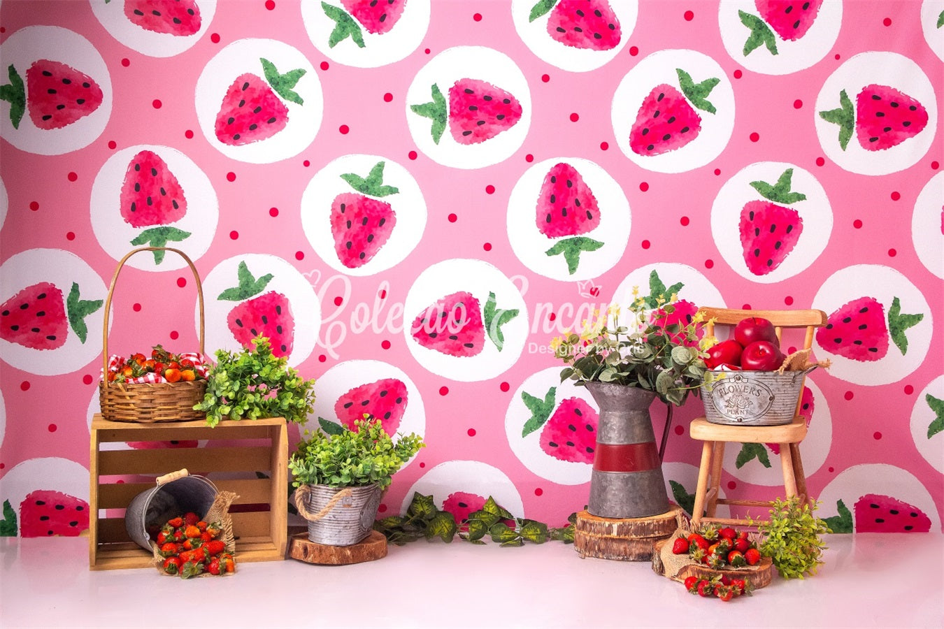 Fond Photo Nouveau-né Stand Ferme Pique-Nique Fraises Roses Par Magali