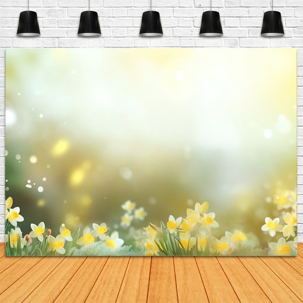 Toile de Fond Jonquille Lumière Jaune Fleur CJJ2-1