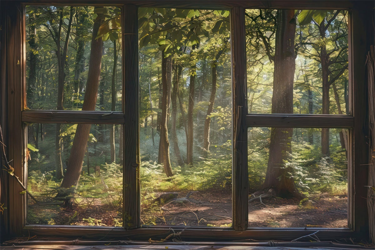 Toile de Fond Bois Scène Fenêtre Forêt Tranquille CJJ2-30