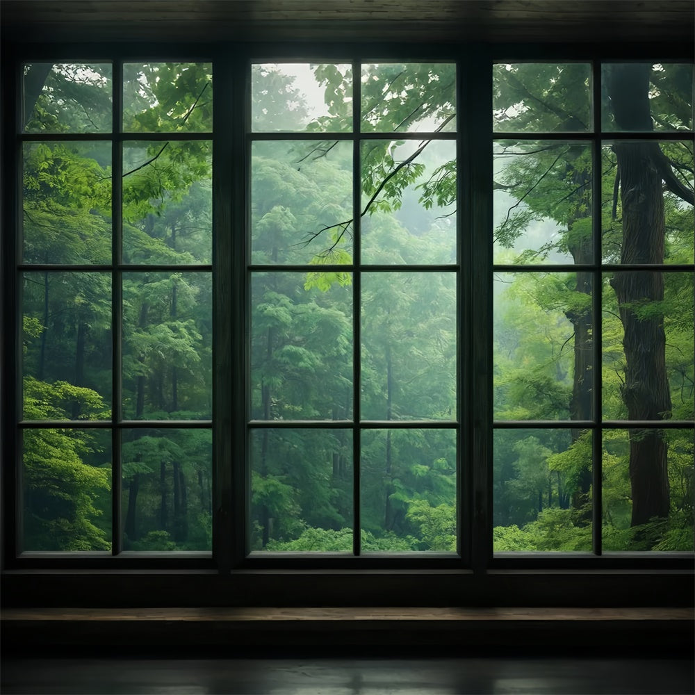 Toile de Fond Photographie Forêt Vue Fenêtre Sérénité CJJ2-57
