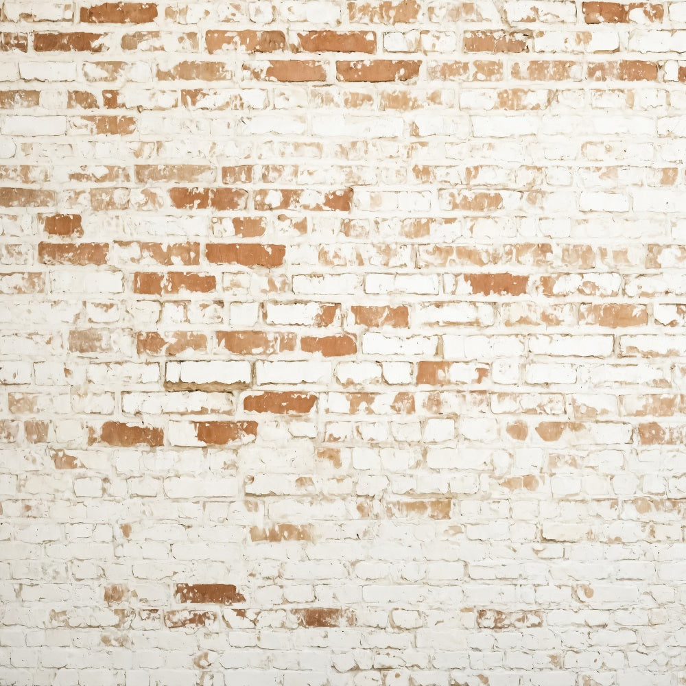 Toile de fond Mur Brique Texture Blanche Érodée CJJ3-37