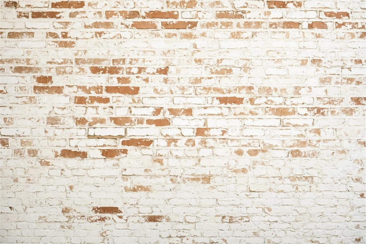 Toile de fond Mur Brique Texture Blanche Érodée CJJ3-37