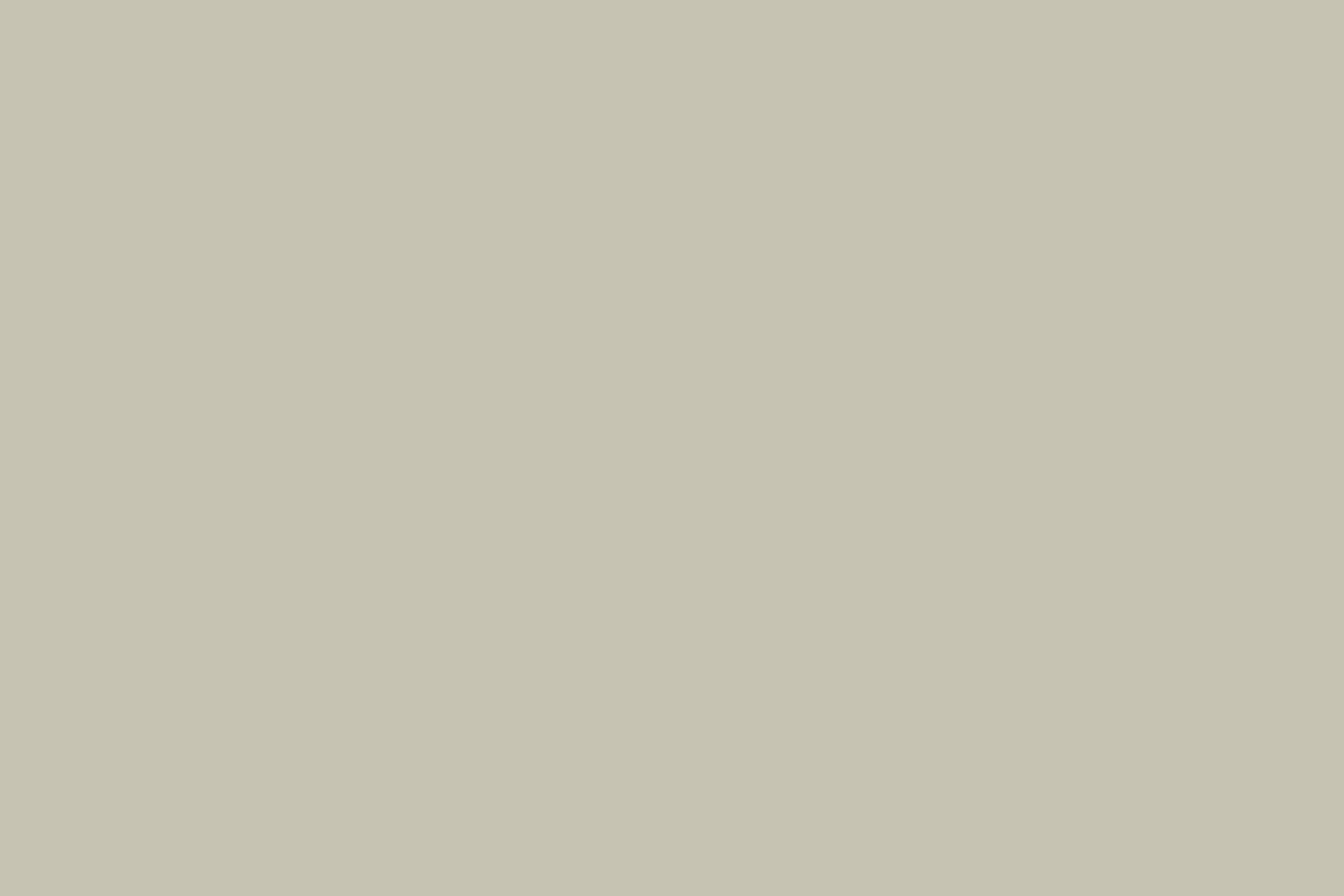 Toile de fond Vert Clair Herbes Douces CSH4-162