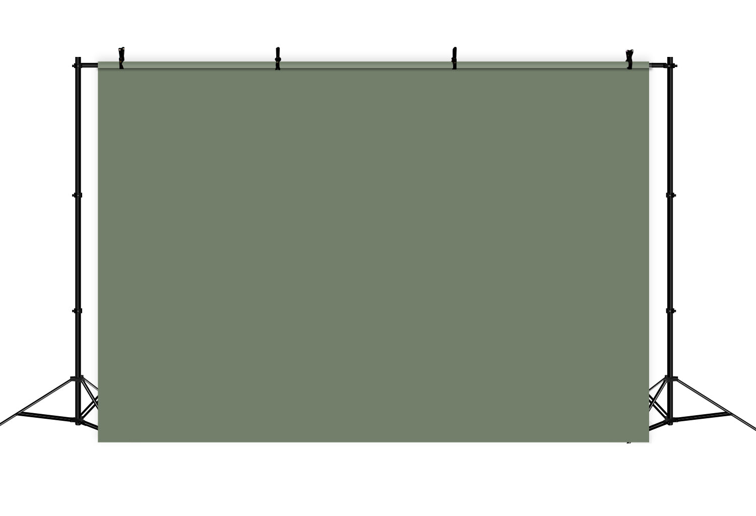 Toile de fond Vert Naturel Élégant CSH4-163