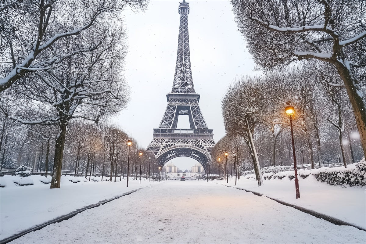 Toile de fond Hiver Élégance Hivernale de la Tour Eiffel CSH57-230