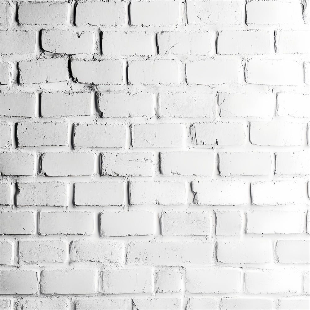 Toile de fond Mur de Brique Blanche Studio Classique CSH6-154