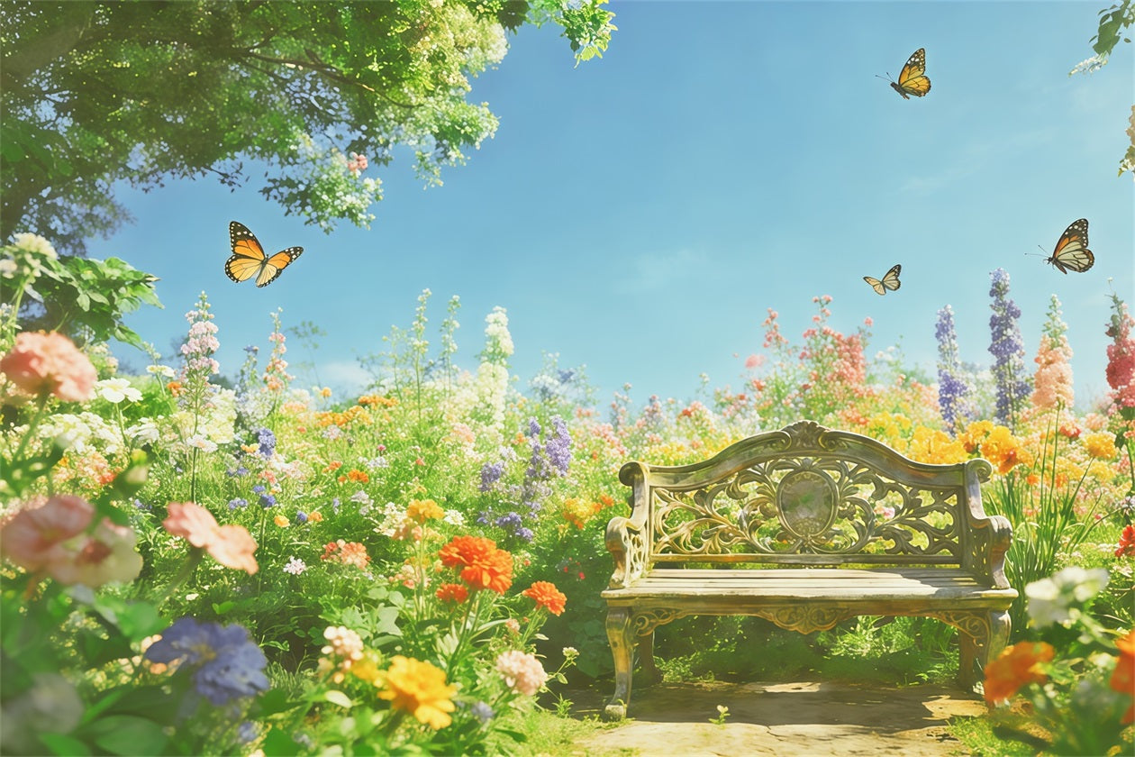 Fond Studio Photo Floral Banc Fleurs Sauvages Baigné De Soleil Papillon CSH61-119