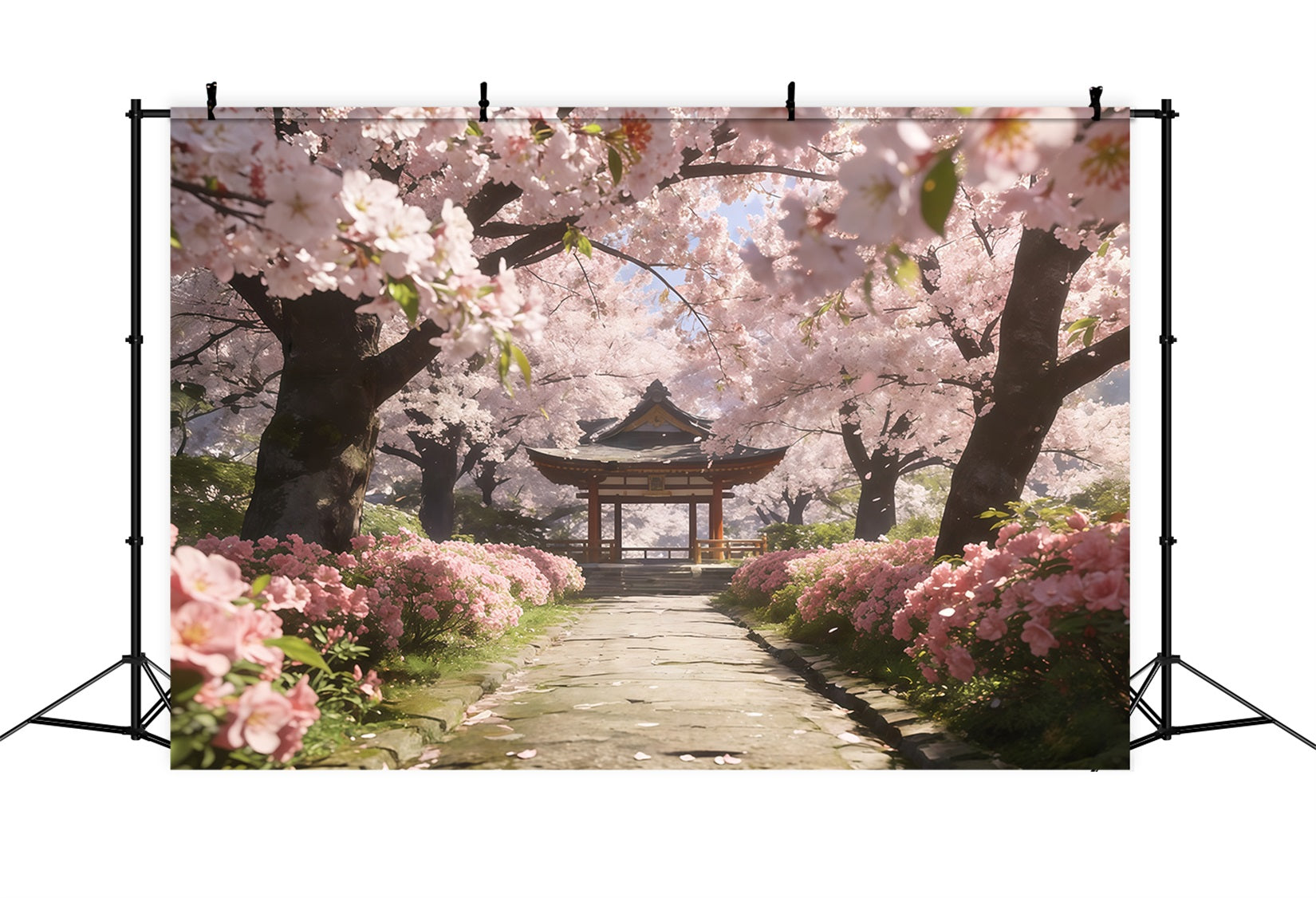 Fond Photo Printemps Allée Sakura Pavillon Paisible CSH61-133