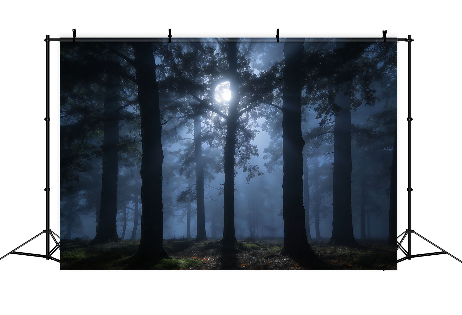 Toile de Fond Forêt Inquiétante Pins Ombres Brume Clair De Lune CSH61-215