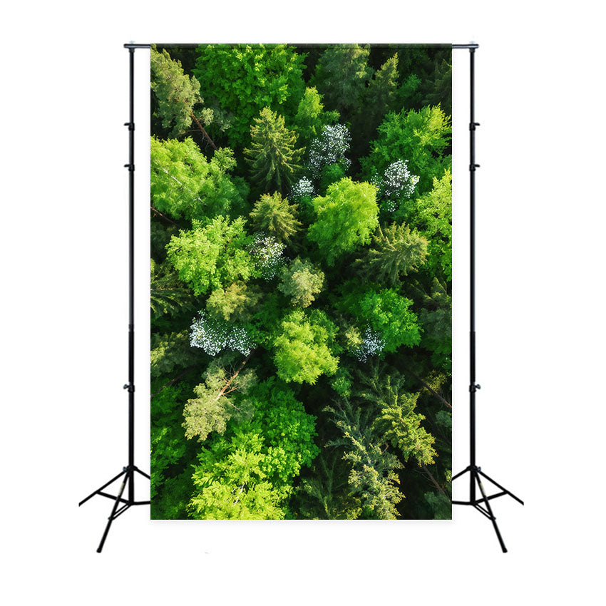 Fond Studio Forêt de Pins Canopée Émeraude Vue Aérienne CSH61-216