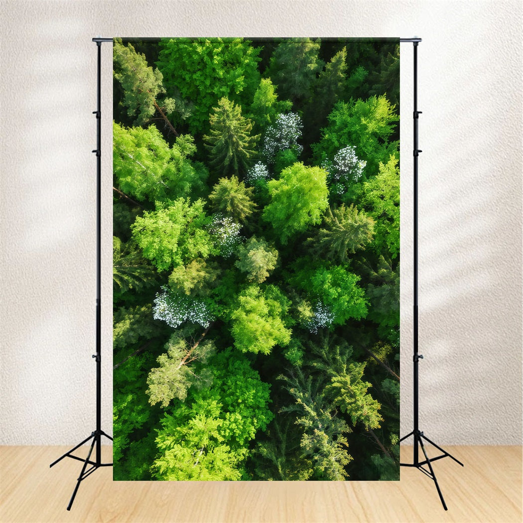 Fond Studio Forêt de Pins Canopée Émeraude Vue Aérienne CSH61-216