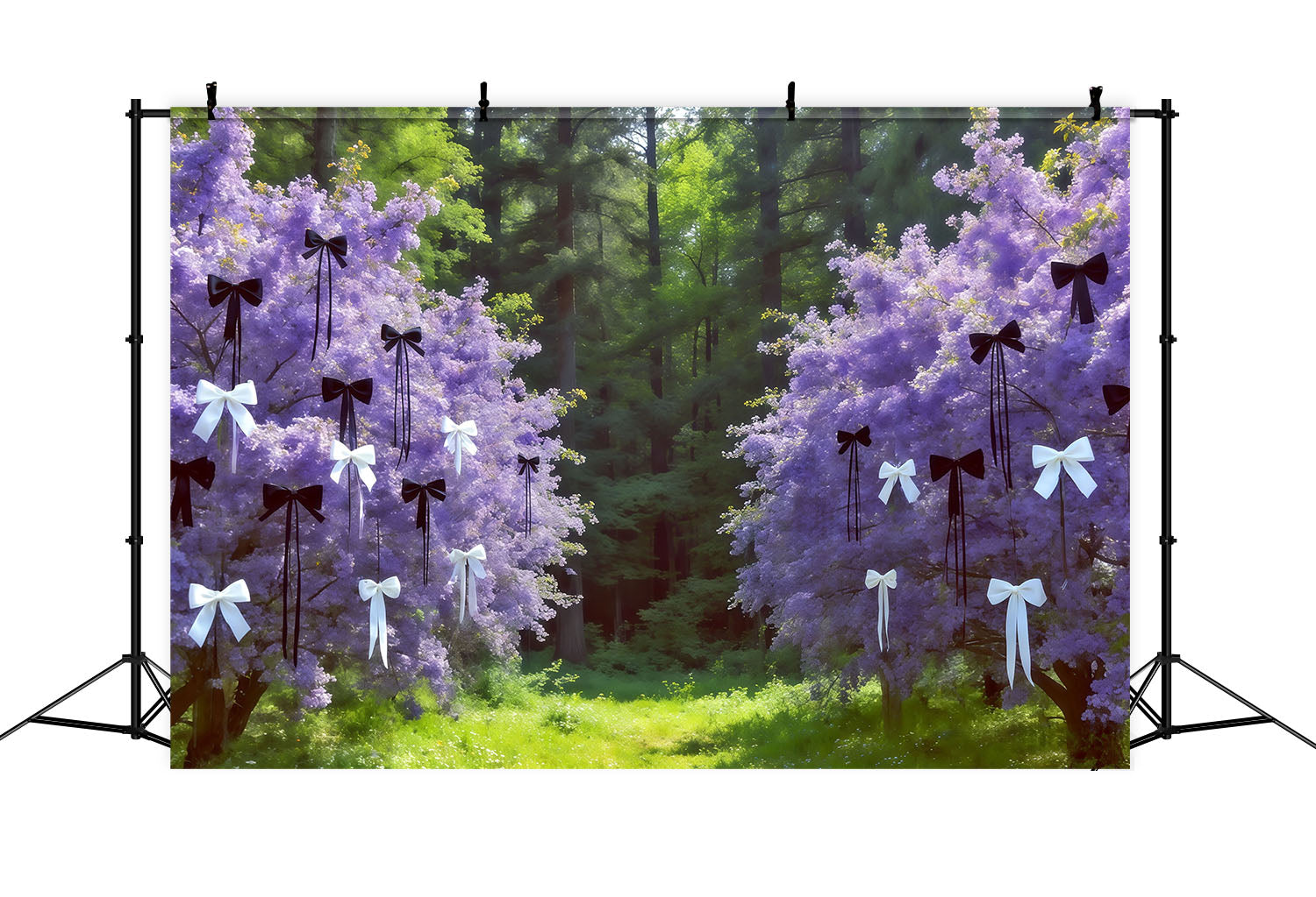 Fond Photo Photographie Forêt Bosquet Fleurs Nœud Lavande CSH61-221