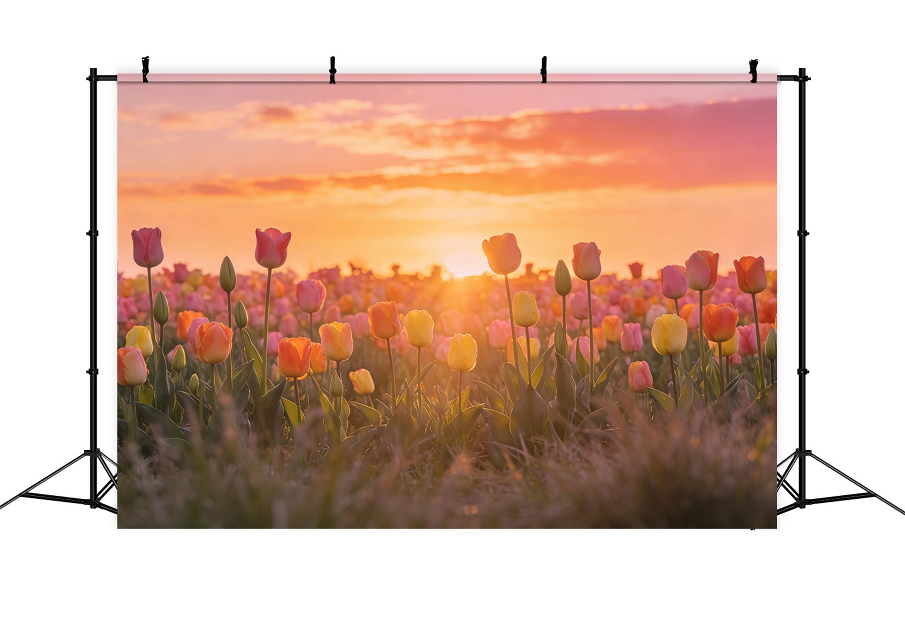 Fond de Pâques Prairie Florale Coucher De Soleil CSH61-64