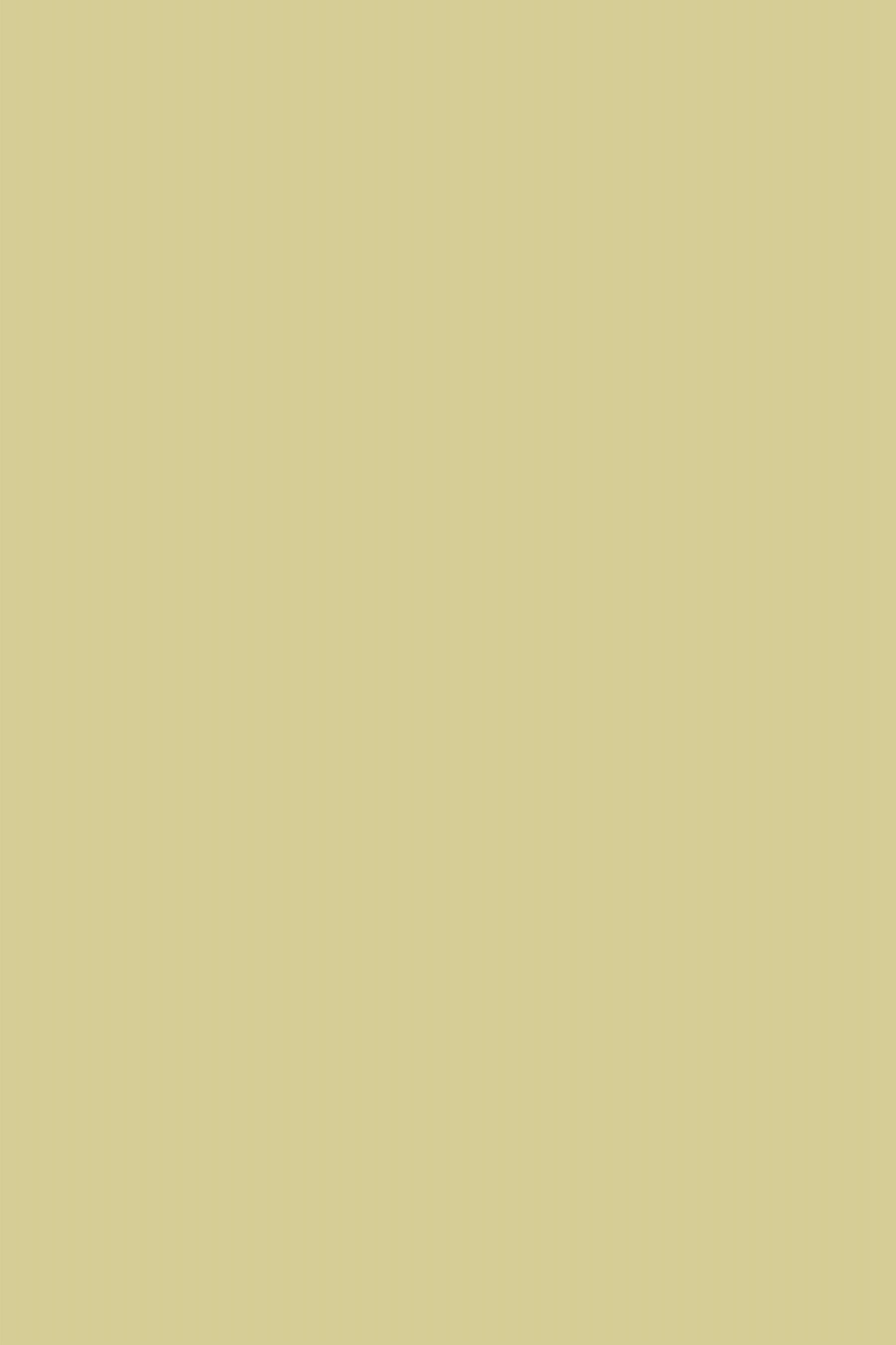 Toile de Fond Jaune Jaune Beurre Chaud Nuance Lisse CSH62-11