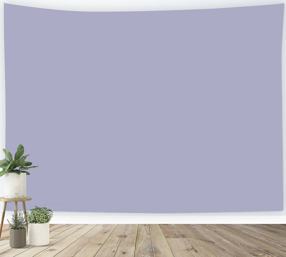 Fond Photo Violet Dégradé Gris Lilas Doux CSH62-18