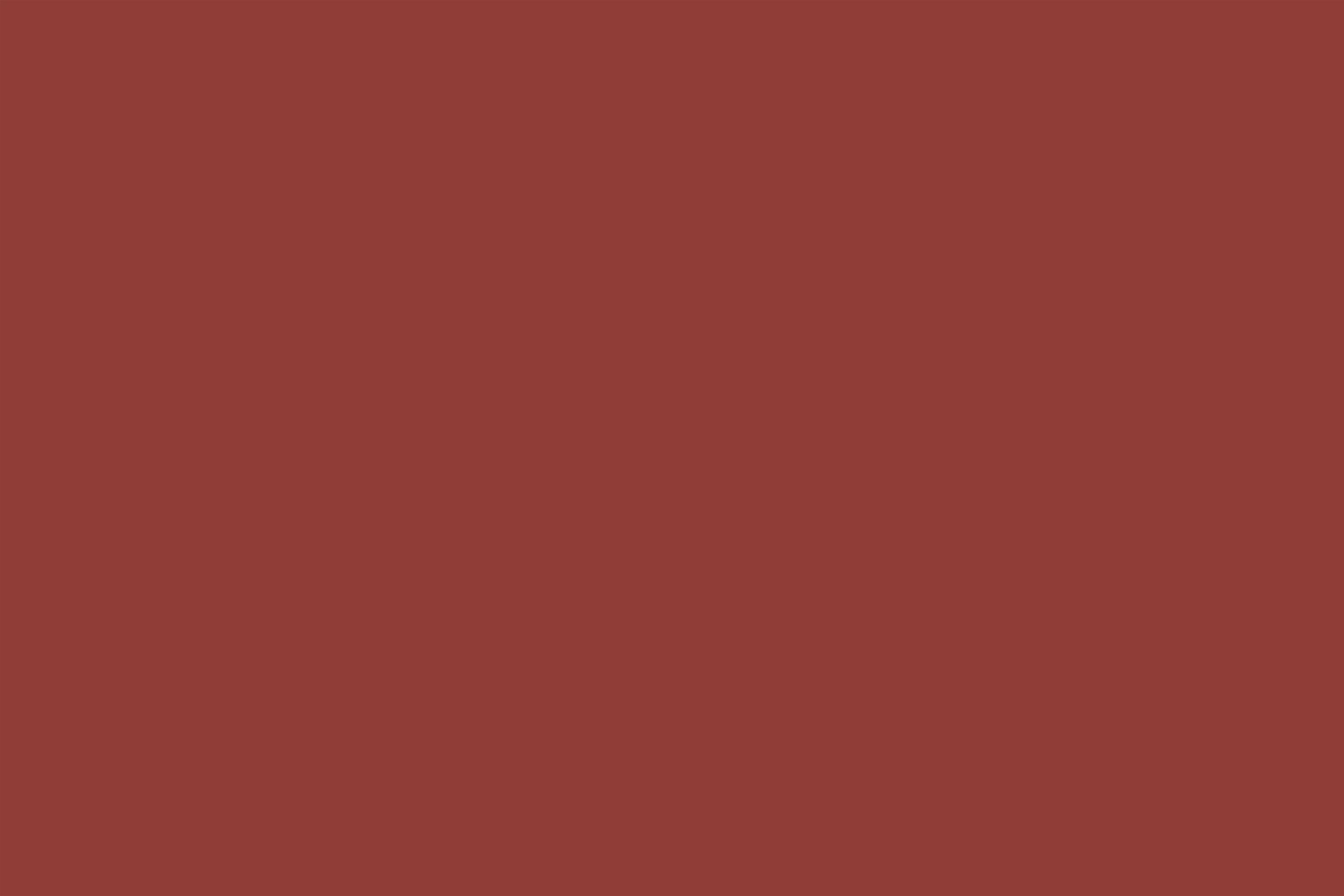 Fond Photo Rouge Rouge Brique Profond Profondeur Classique CSH62-24