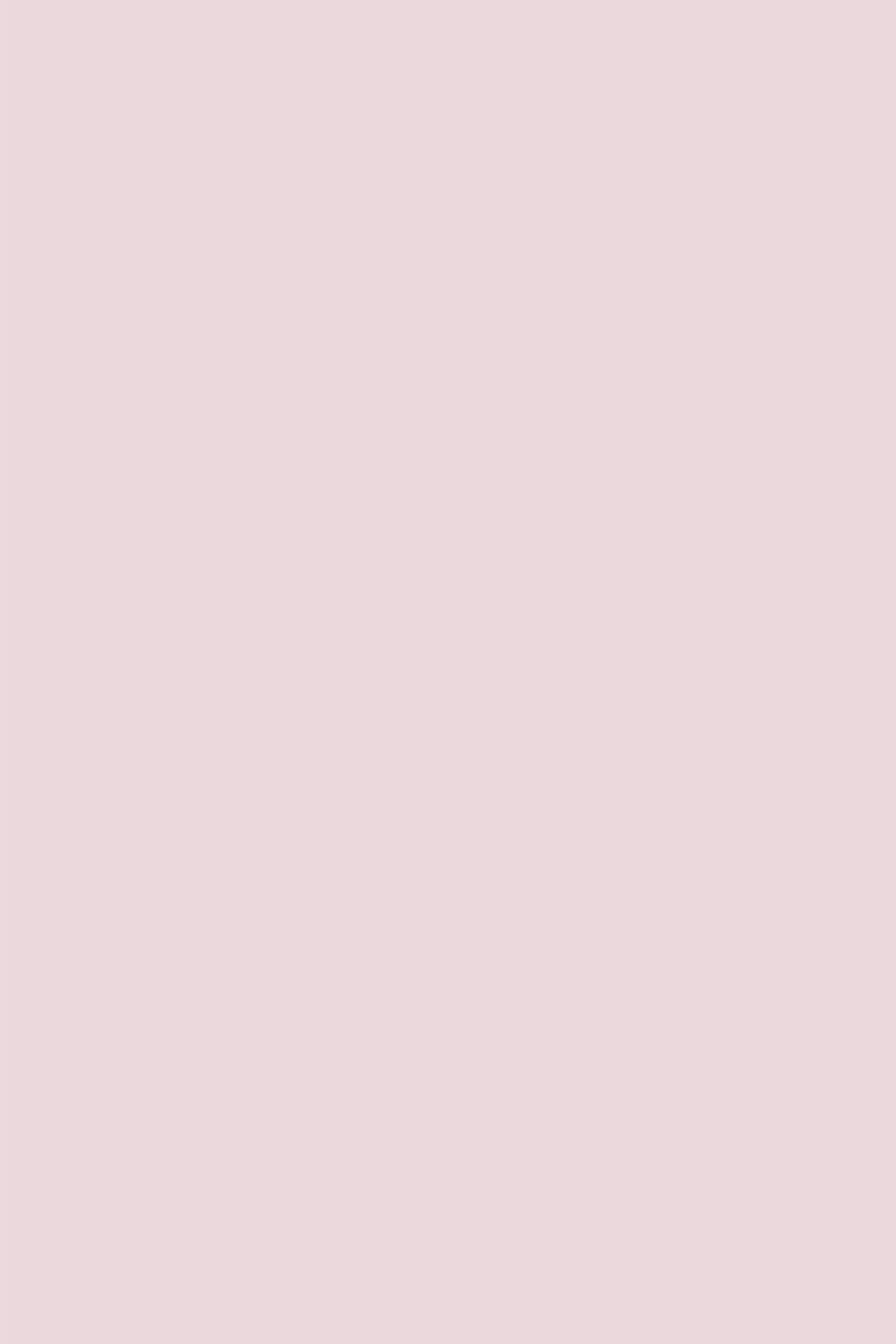 Fond Studio Rose Clair Pastel Rose Blush Doux CSH62-5