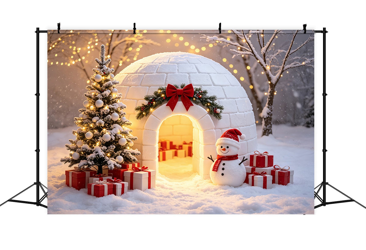 Fond Photo Du Pôle Nord Bonhomme De Neige Dans Un Igloo Enneigé Décor Du Père Noël CSH69-101
