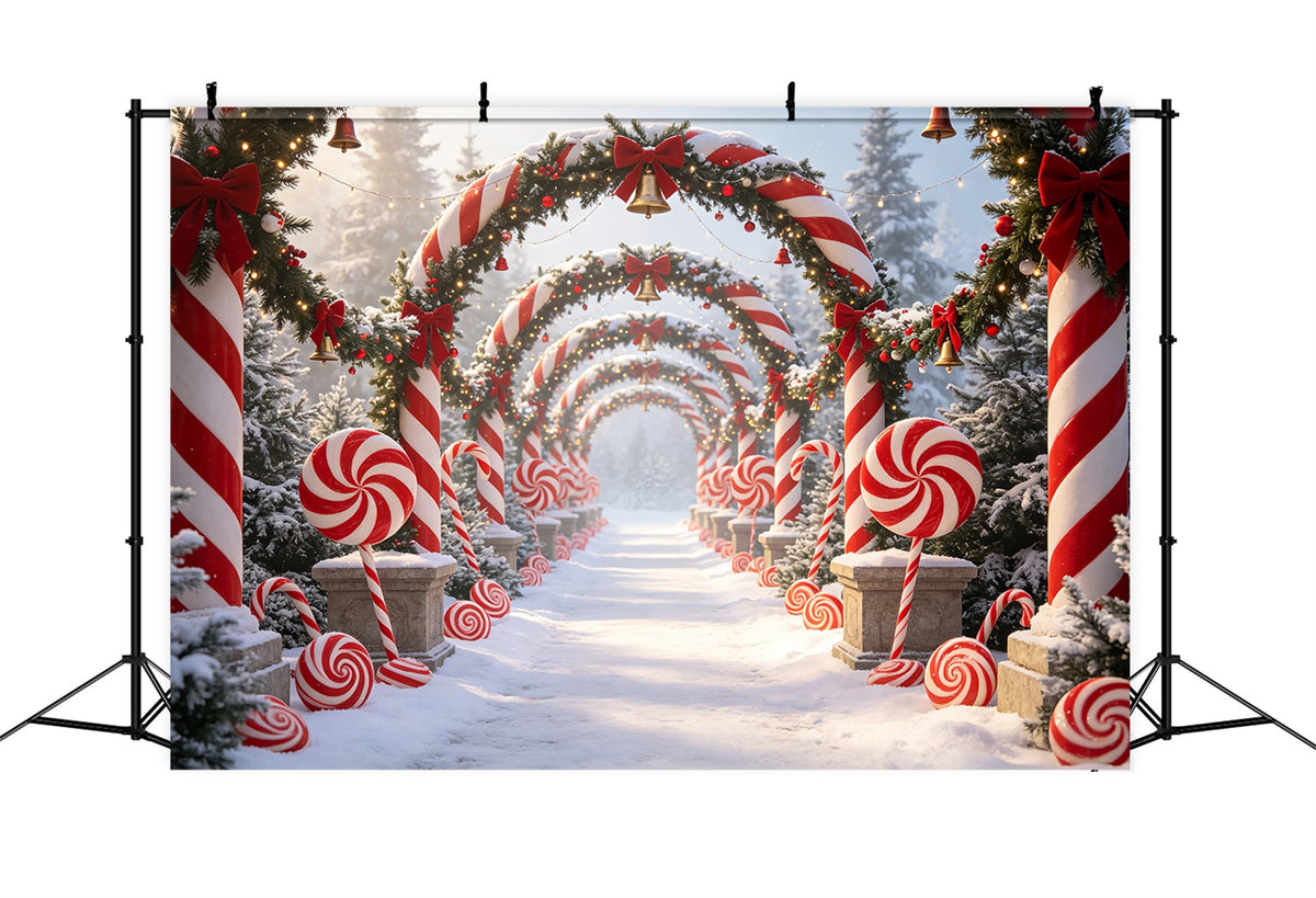 Décor De Candy Cane Lane Chemin De L'Arche De La Forêt Enneigée Fond De Noël 3D CSH69-59