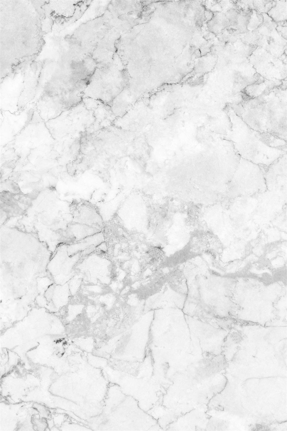 Toile de fond Marbre Gris Studio Marbre Gris Minimaliste GQ4-155