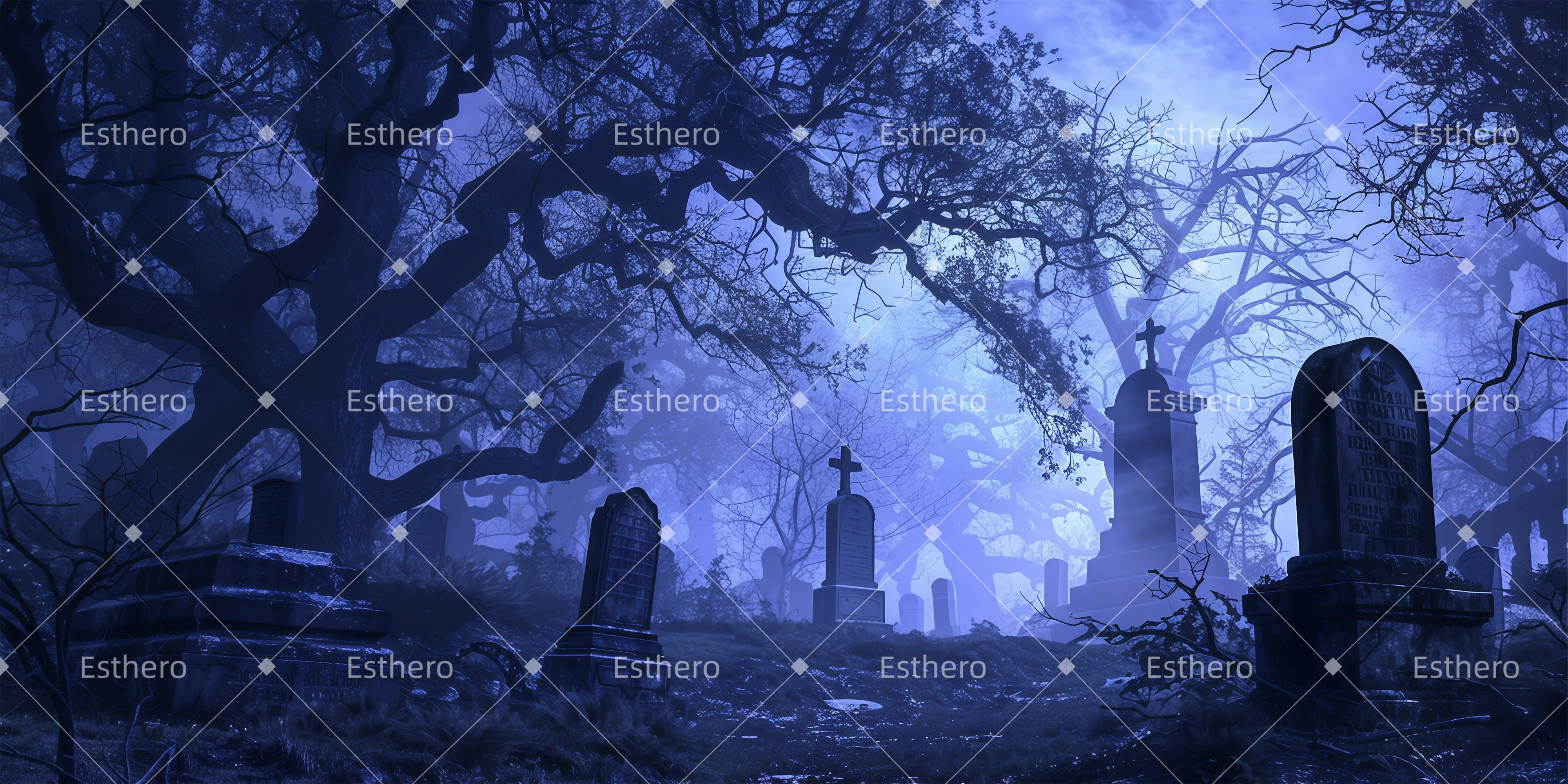 Fond de Scene Cimetière Clair De Lune GQ61-T1