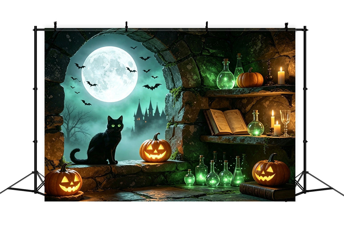 Fond Photo Antre De Sorcière Avec Chat Au Clair De Lune Alcôve De Potion Et Bûcheron GQ67-101