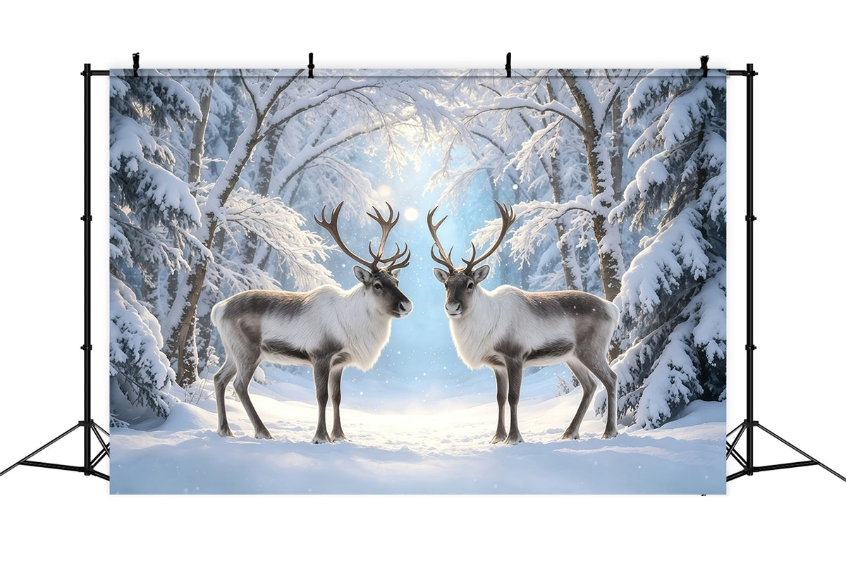 Décor De Noël Enneigé Sentier De La Forêt Hivernale Des Rennes Décor Photo De Noël GQ68-117