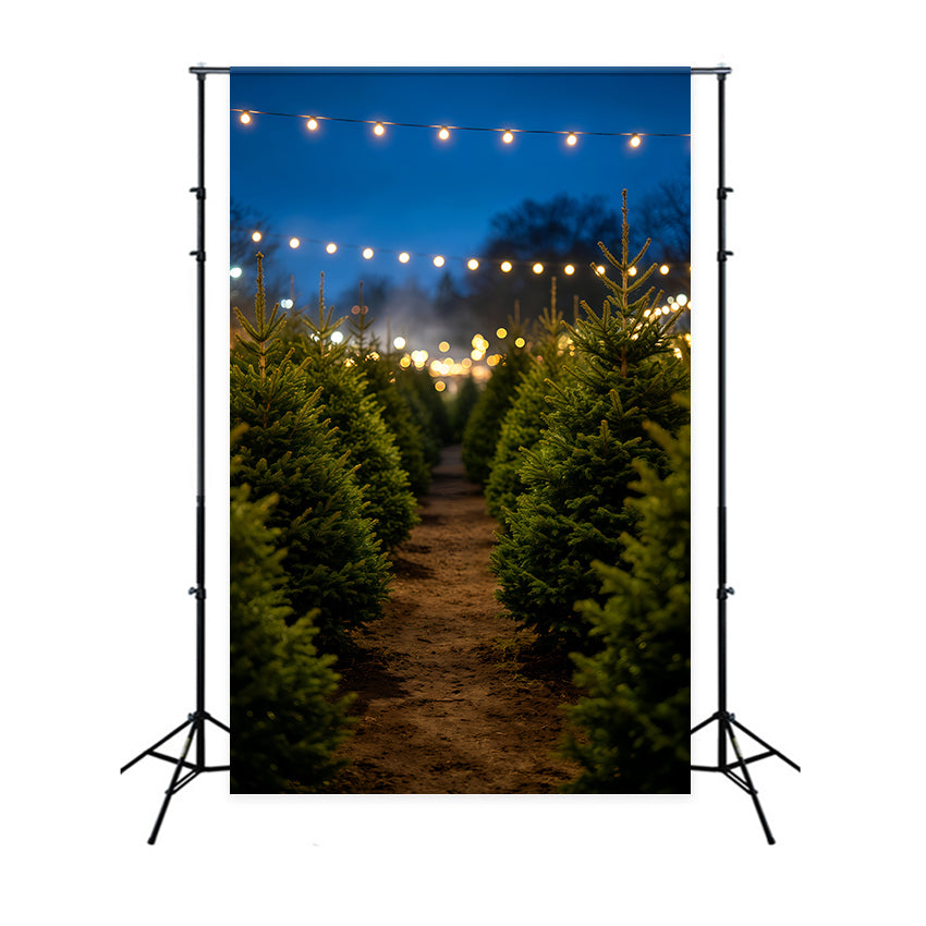 Fond De Sapin De Noël Allée Nocturne Des Pins Décors De Noël D'Intérieur GQ69-49
