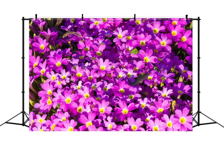 Toile de fond Florale Violette Épanouissement de Fleurs Sauvages Vibrantes GTY3-30