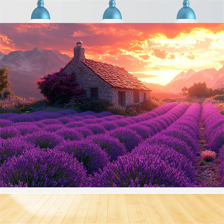 Toile de fond Fleurs Violettes Rêve Champêtre Lavande Coucher de Soleil GTY3-31