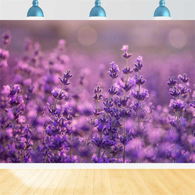 Toile de fond Fleurs Violettes Doux Pré de Violettes GTY3-32