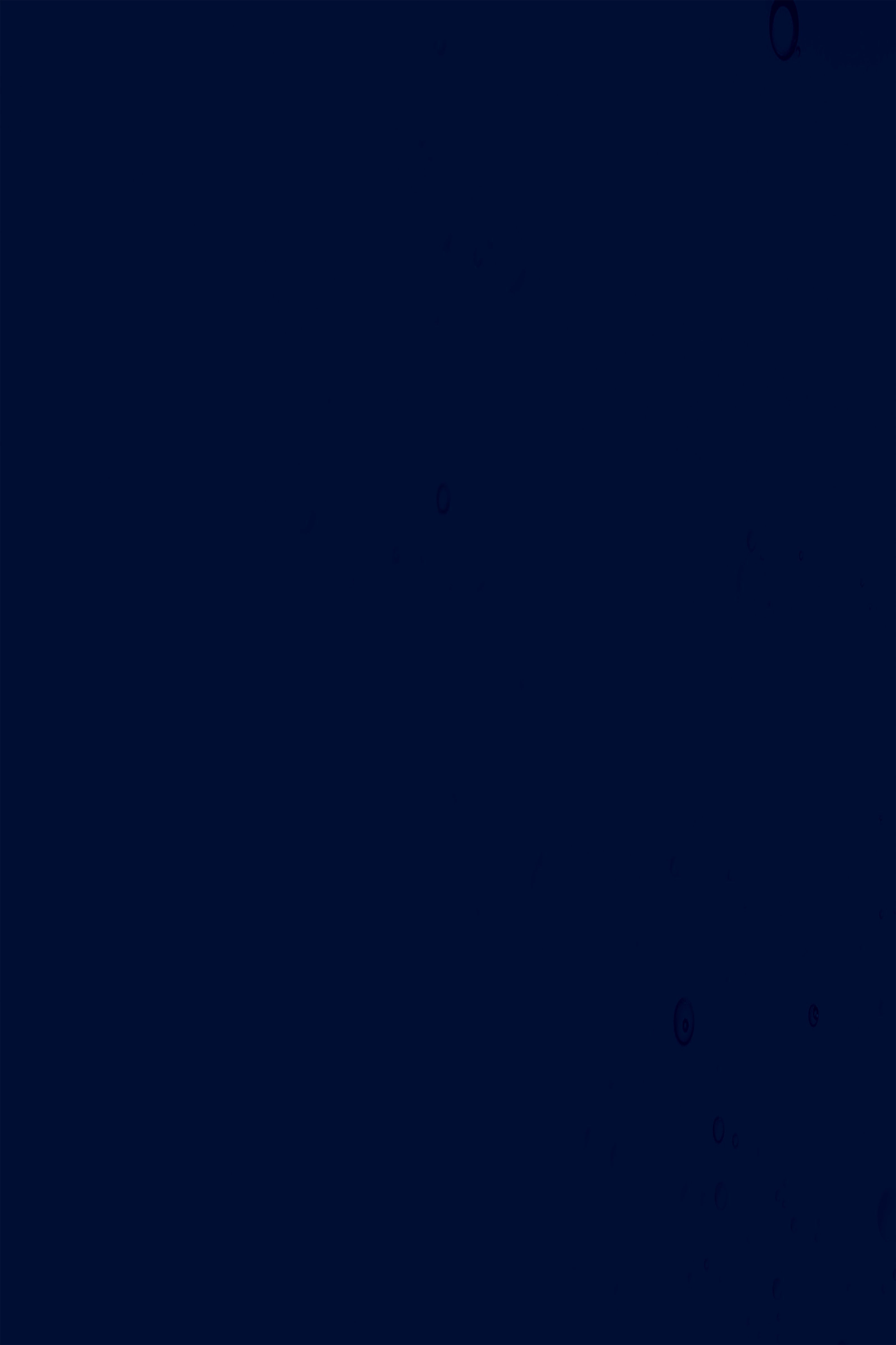 Toile de Fond Bleue Bleu Marine Uni Studio GTY3-343