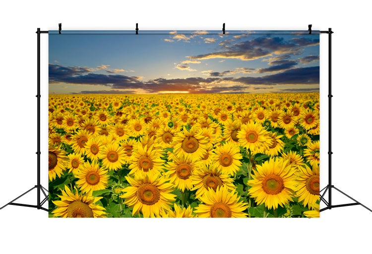 Toile de fond Été Champ de Tournesols Dorés Coucher de Soleil GTY3-381