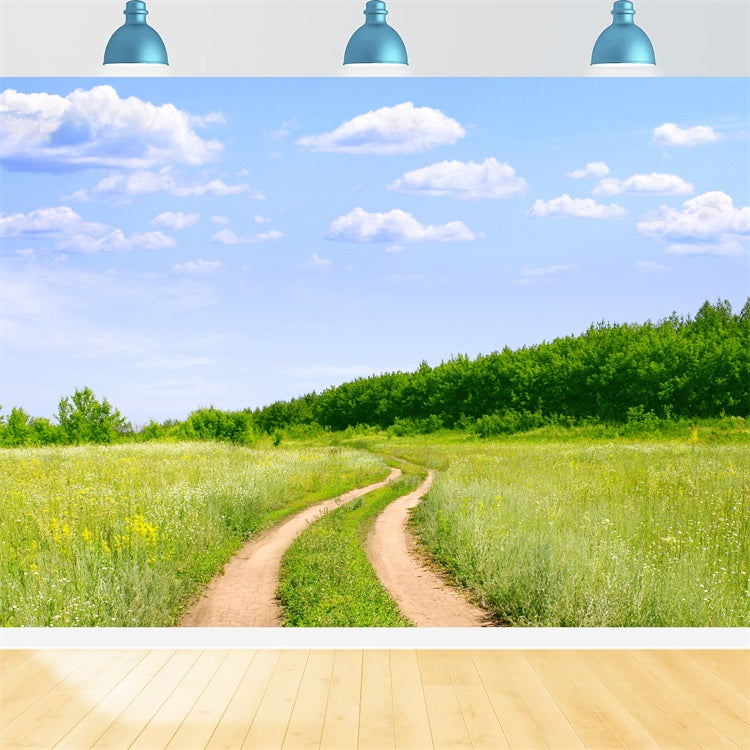 Toile de fond Ciel Sentier Campagne Prairie LXX1-302