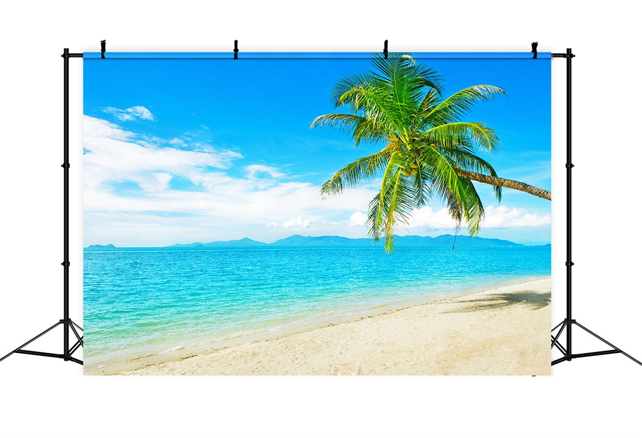 Toile de fond Océan Ciel Plage Ensoleillée Arbre à Noix de Coco LXX1-304
