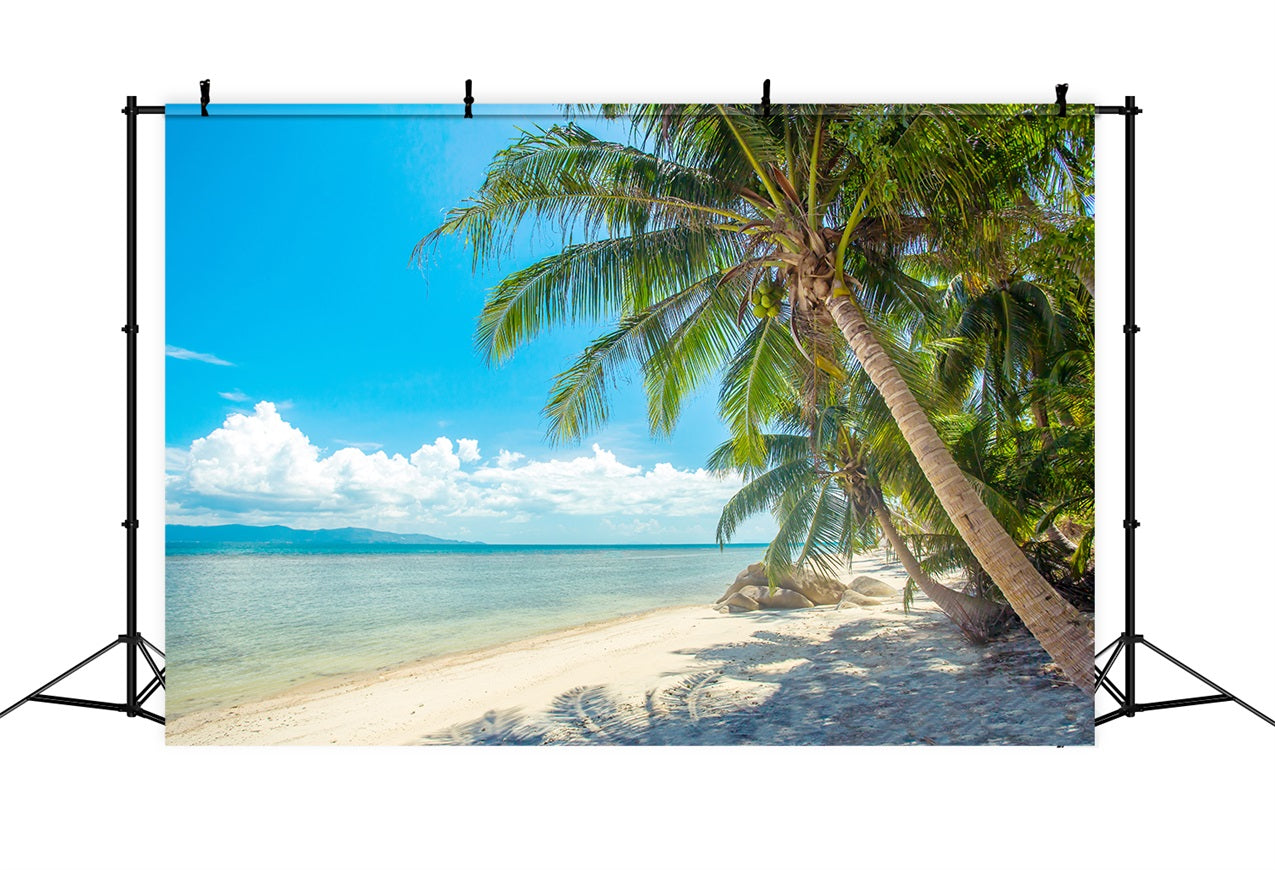 Toile de fond Ciel Nuageux Palmier Plage Paysage LXX1-307