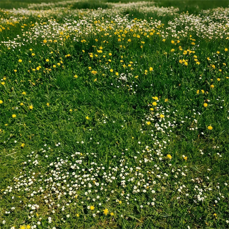 Toile de fond photo sol Prairie sauvage verdoyante LXX2-228
