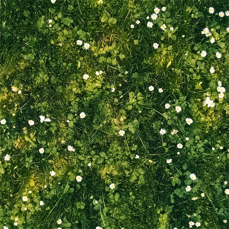 Toile de fond sol Pétales blancs et prairie verte LXX2-229