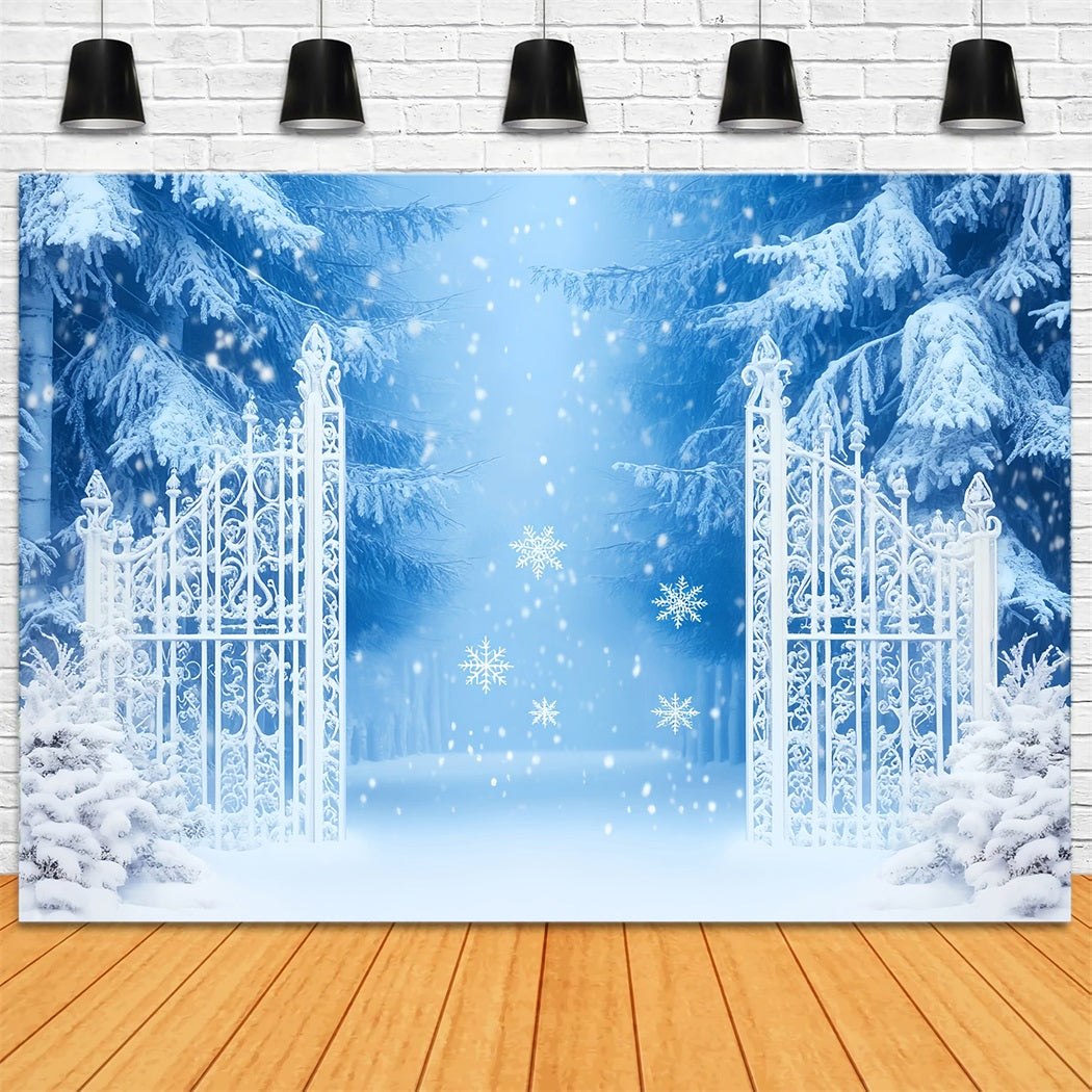Fond neigeux Porte enchantée dans une forêt enneigée Fonds photo hivernaux LXX510-54
