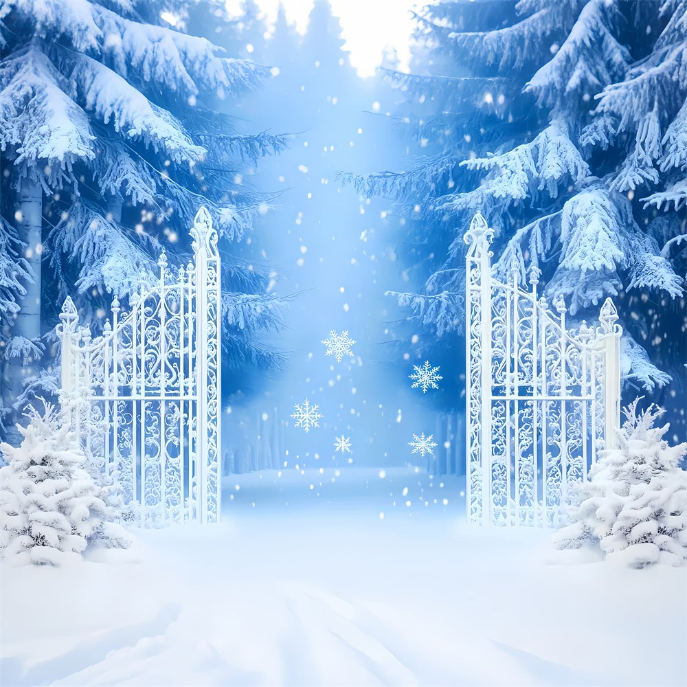 Fond neigeux Porte enchantée dans une forêt enneigée Fonds photo hivernaux LXX510-54
