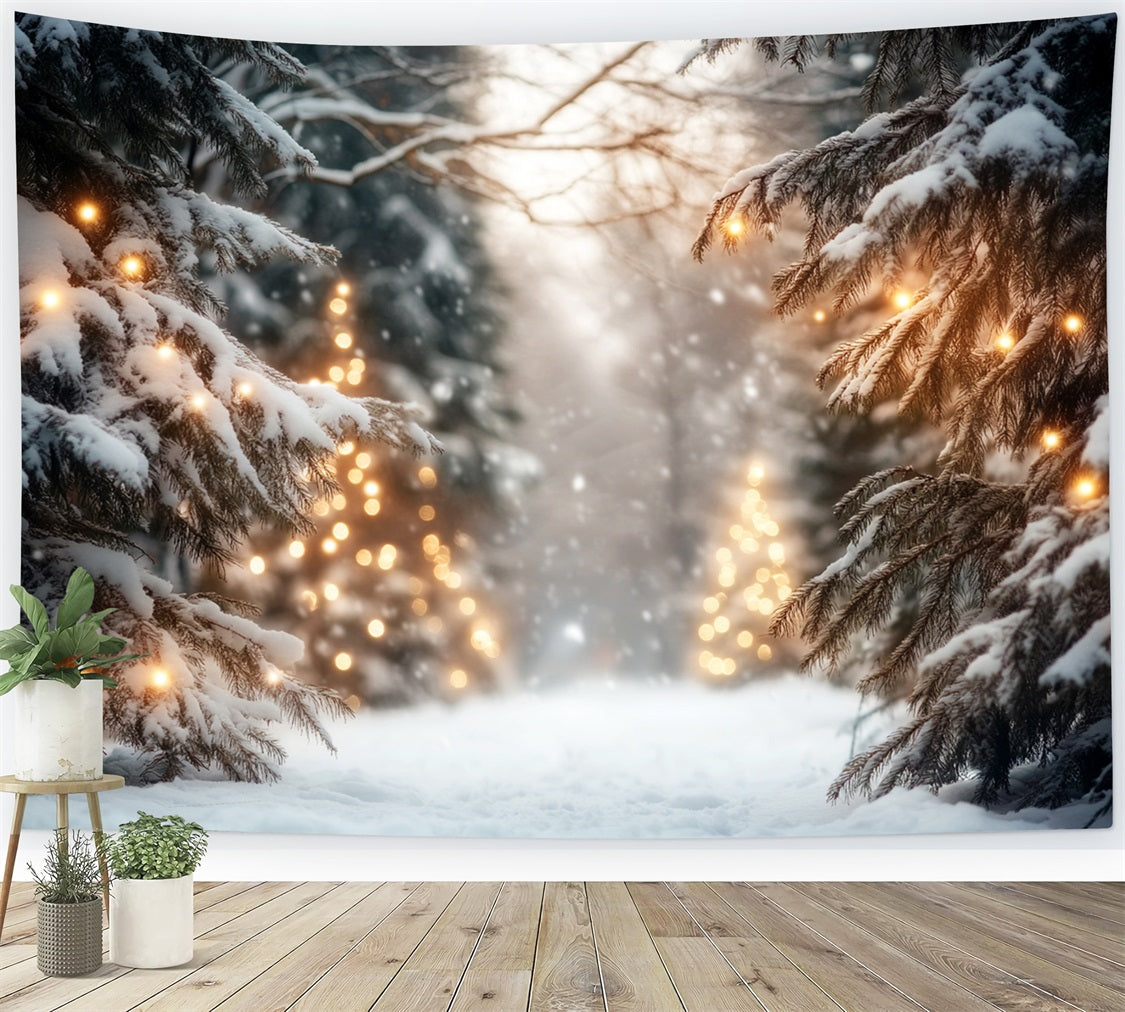 Fond d'hiver Pays des merveilles Pin enneigé Chemin lumineux Fonds d'hiver LXX510-76