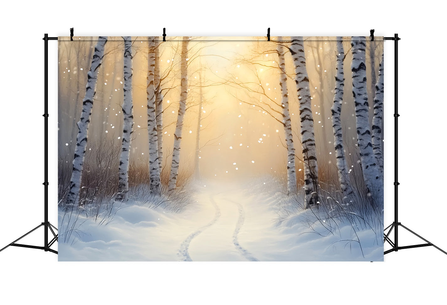 Fond d'hiver Pays des merveilles Bouleau doré Sentier d'hiver Fond d'hiver LXX510-77