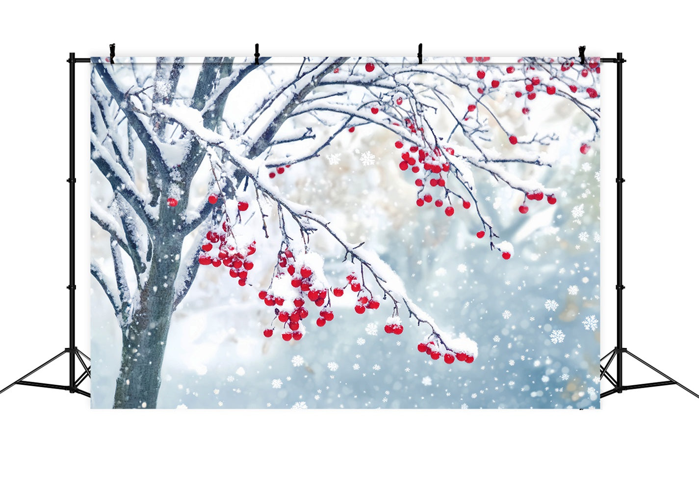 Fond hivernal enneigé Baies rouges Branches enneigées Fonds photo hivernaux LXX510-83