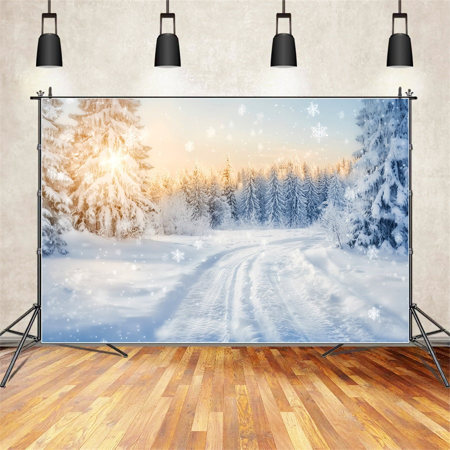 Fond hivernal féérique Forêt scintillante Sentier au lever du soleil Fonds hivernaux LXX510-90